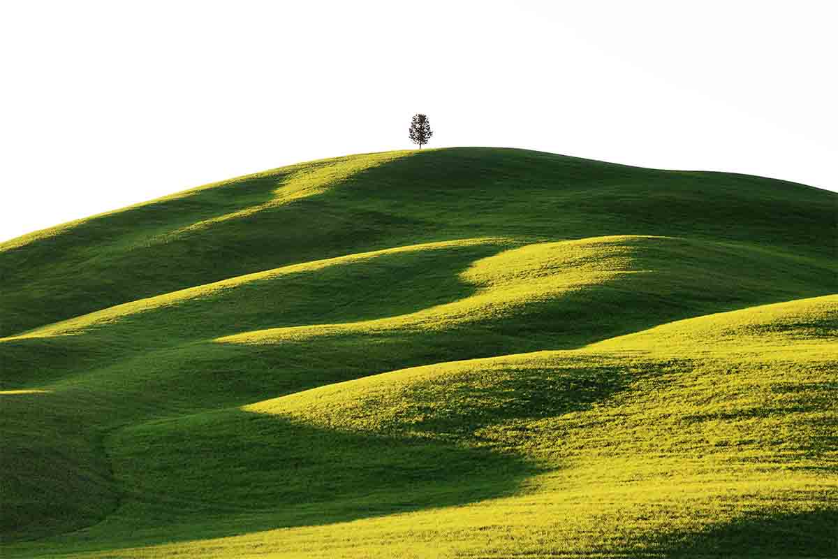 workshop-fotografici-val d'orcia